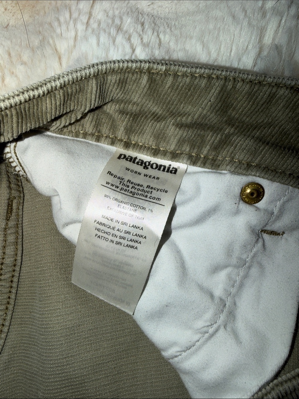 Patagonia Olive Skinny Corduroy Jeans - Picture 3 of 7